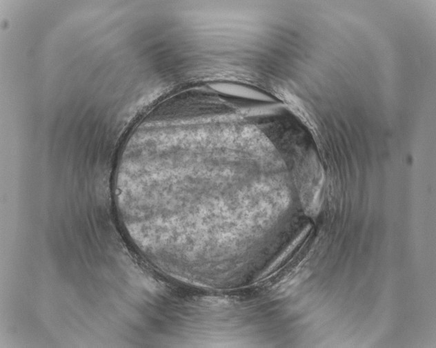 X0000089380394200707061144