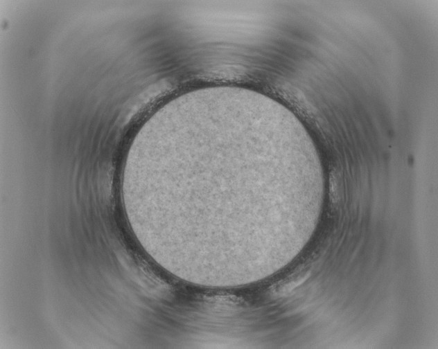 X0000089380396200707061144