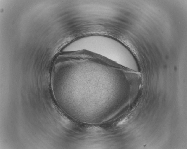 X0000089380397200707061144