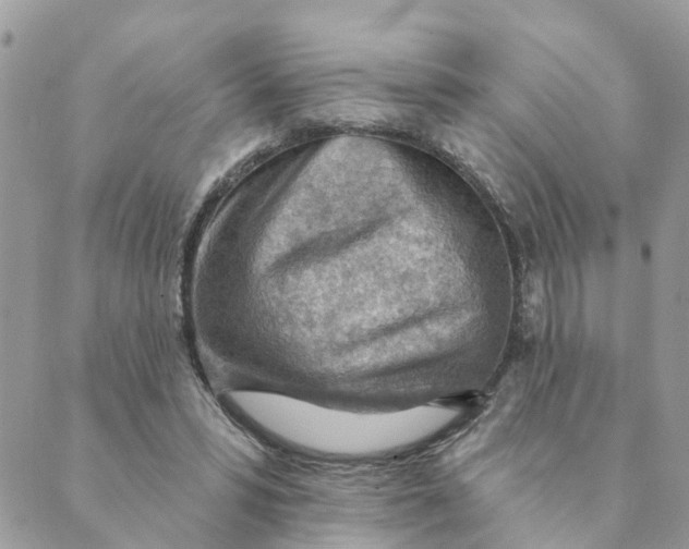 X0000089380399200707061144