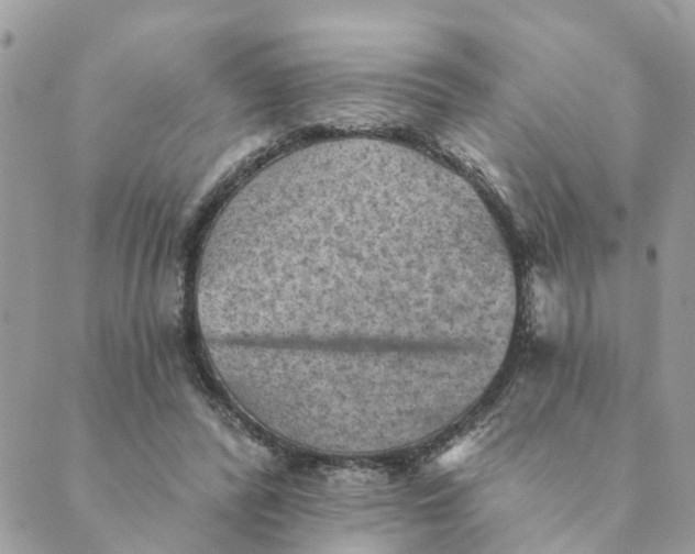 X0000089380400200707061144