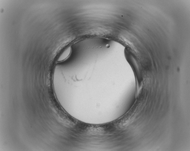 X0000089380403200707061144