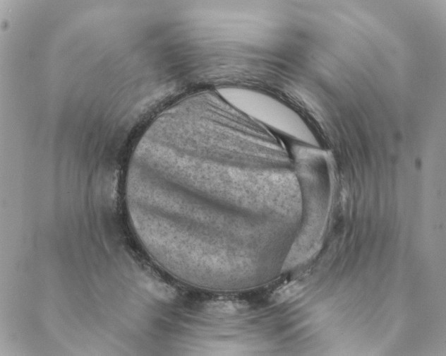 X0000089380404200707061144