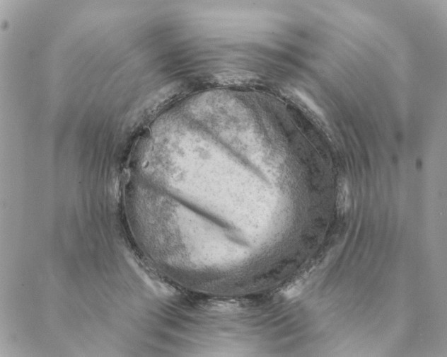 X0000089380405200707061144