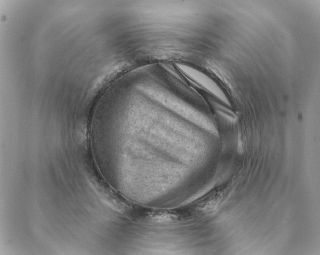 X0000089380407200707061144