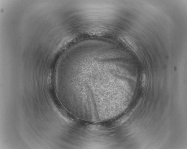 X0000089380408200707061144