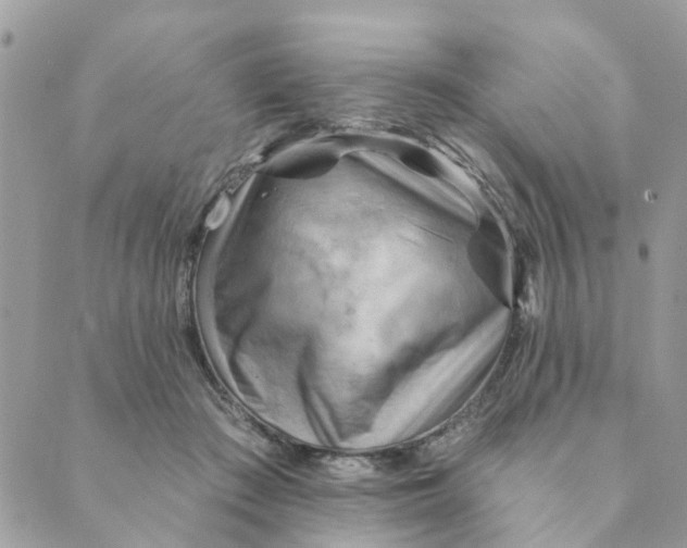 X0000089380409200707061144