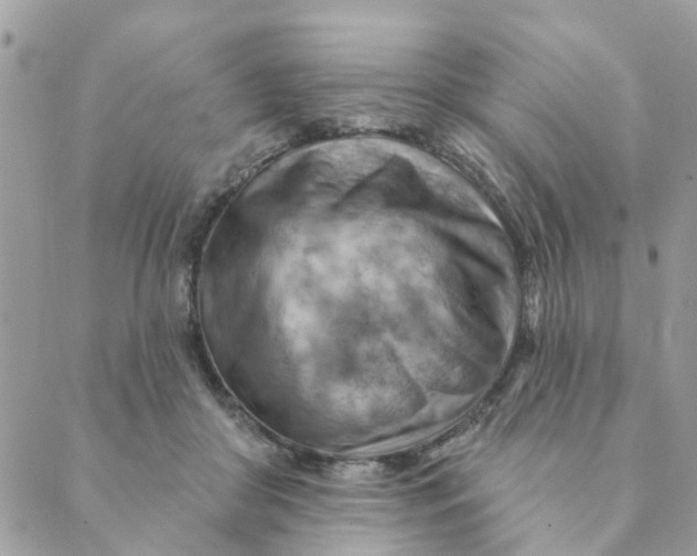 X0000089380410200707061144