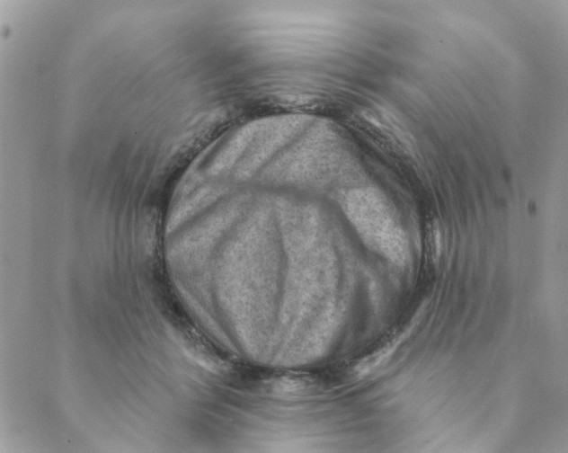 X0000089380412200707061144