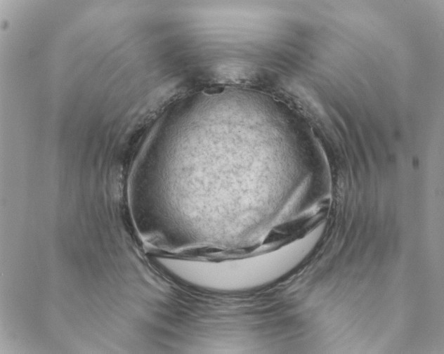 X0000089380413200707061144