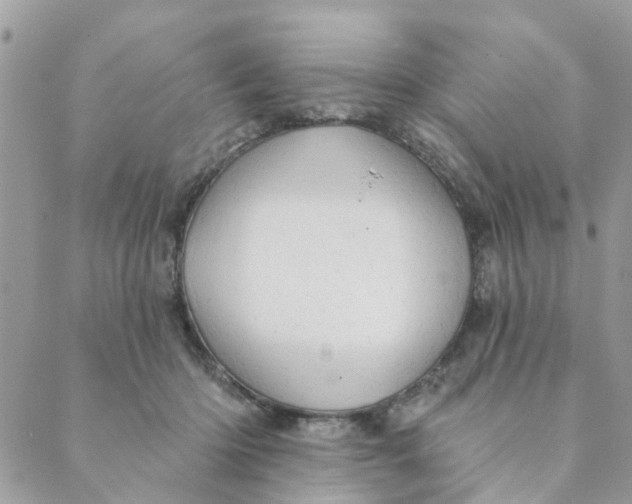 X0000089380414200707061144