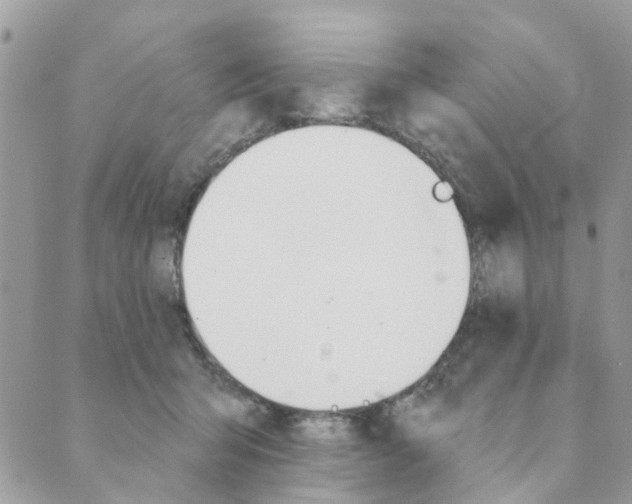 X0000089380415200707061144