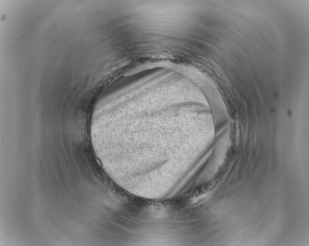 X0000089380416200707061144