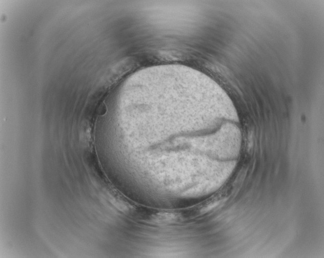 X0000089380418200707061144