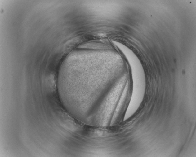 X0000089380420200707061144