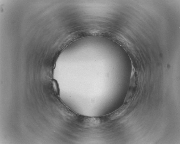 X0000089380421200707061144