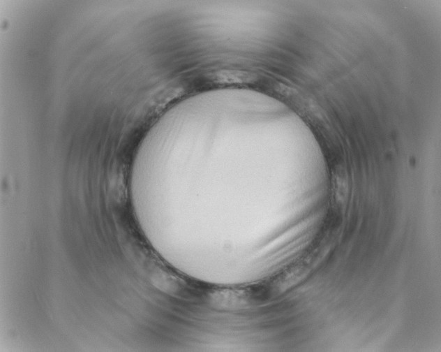 X0000089380422200707061144