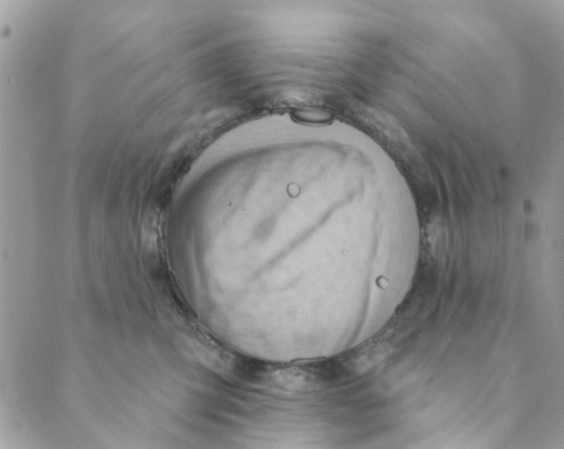 X0000089380423200707061144