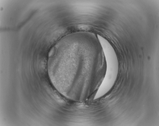 X0000089380424200707061144