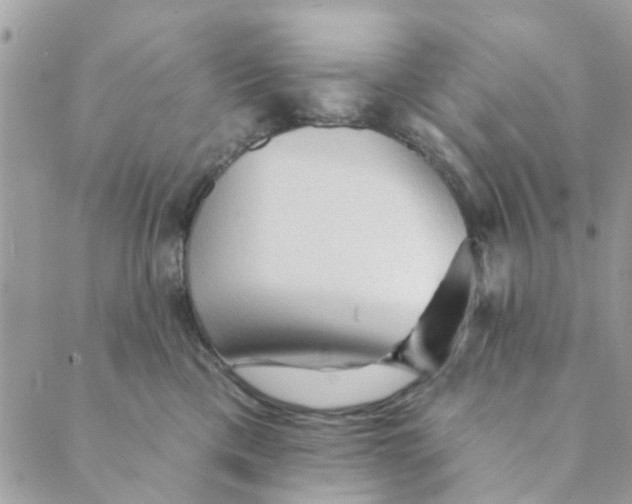 X0000089380425200707061144