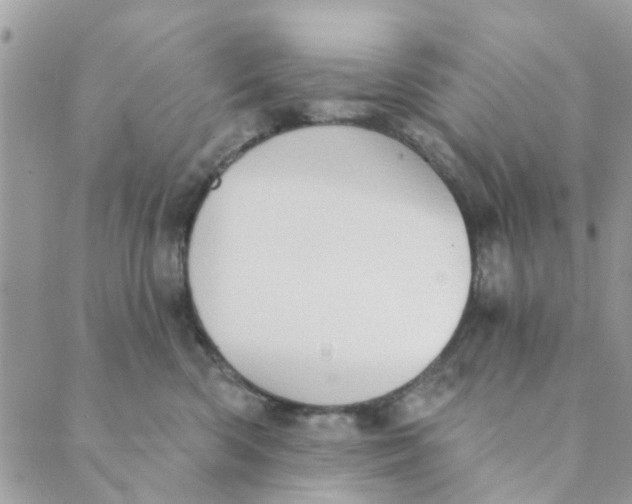 X0000089380426200707061144