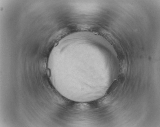 X0000089380427200707061144