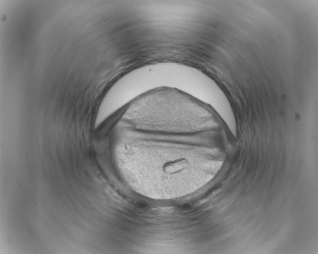 X0000089380428200707061144