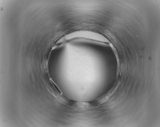 X0000089380429200707061143