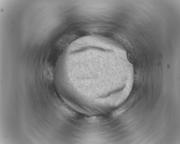 X0000089380430200707061143