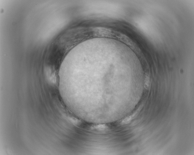 X0000089380431200707061143