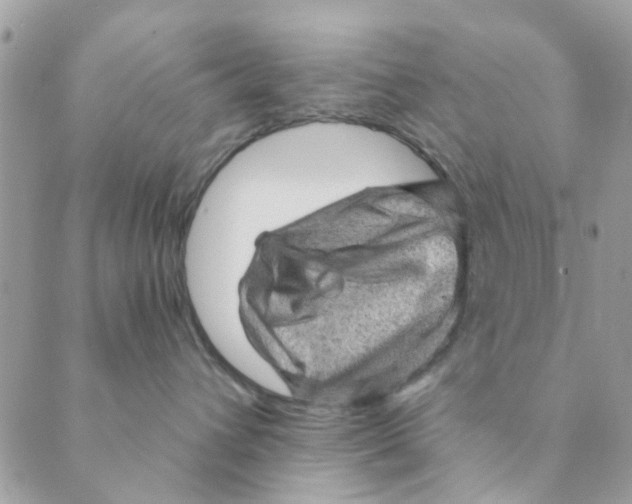 X0000089380432200707061143