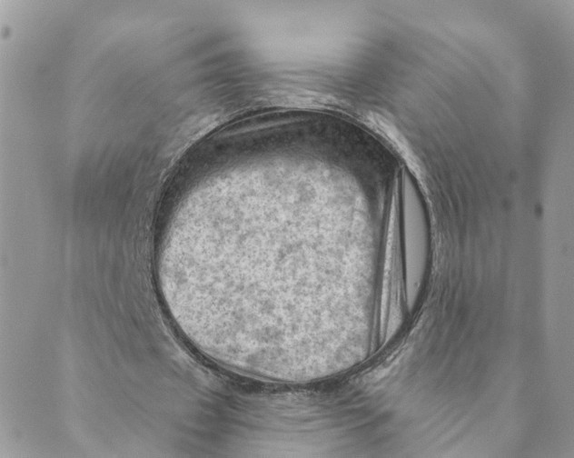 X0000089380433200707061143