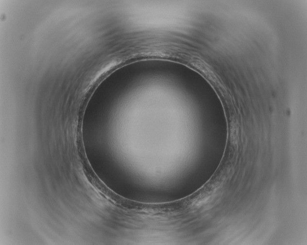 X0000089380434200707061143