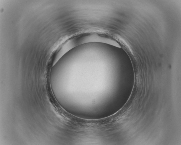 X0000089380436200707061143