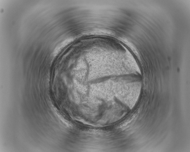 X0000089380437200707061143