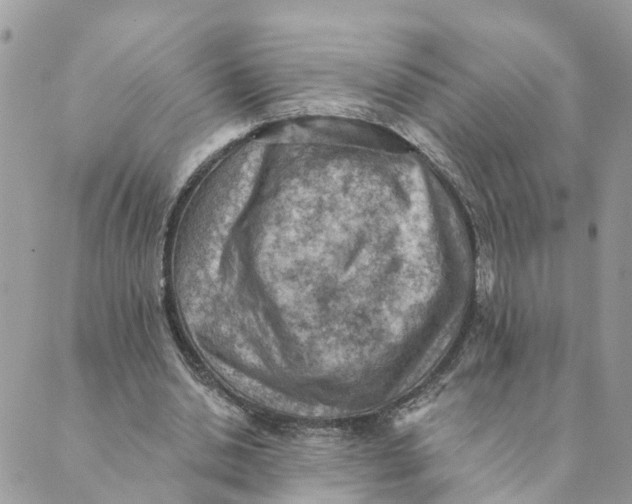 X0000089380438200707061143