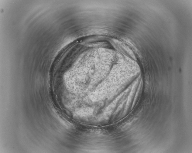 X0000089380439200707061143