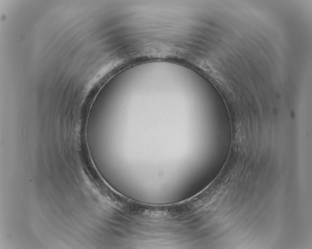 X0000089380440200707061143