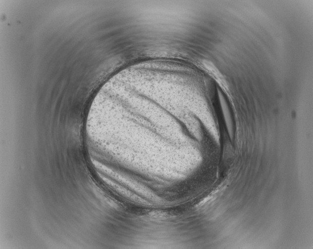 X0000089380441200707061143