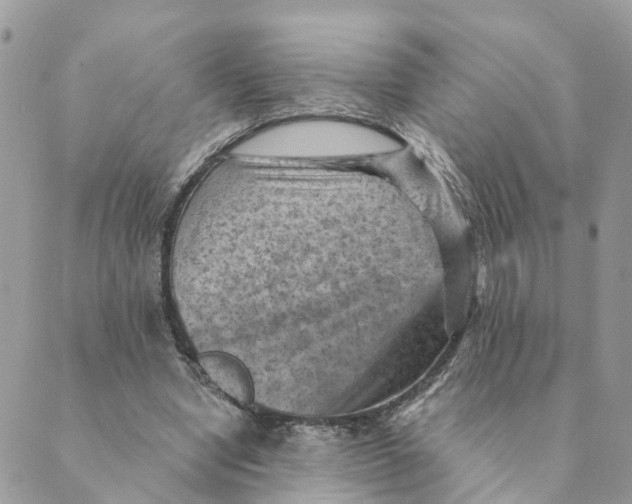 X0000089380442200707061143