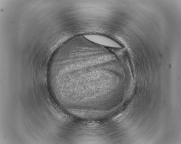 X0000089380443200707061143