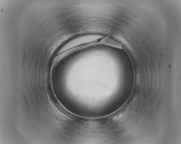 X0000089380444200707061143