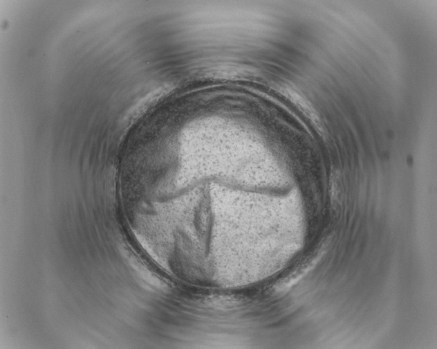 X0000089380445200707061143