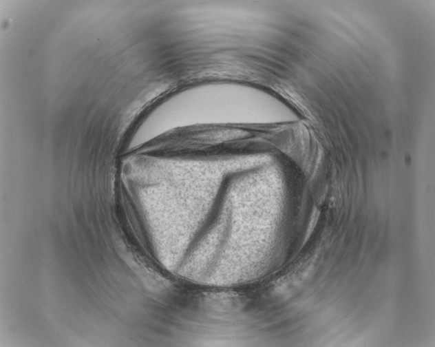 X0000089380446200707061143