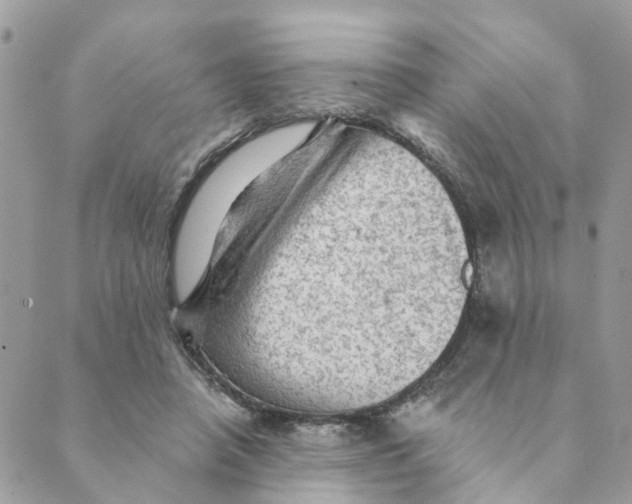 X0000089380450200707061143