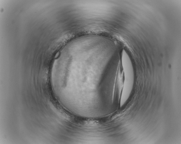 X0000089380451200707061143