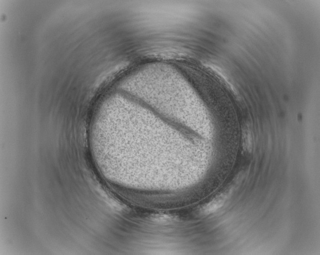 X0000089380453200707061143