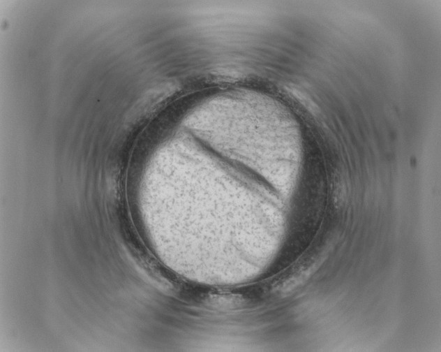 X0000089380455200707061143