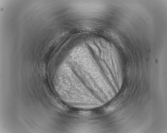 X0000089380457200707061143