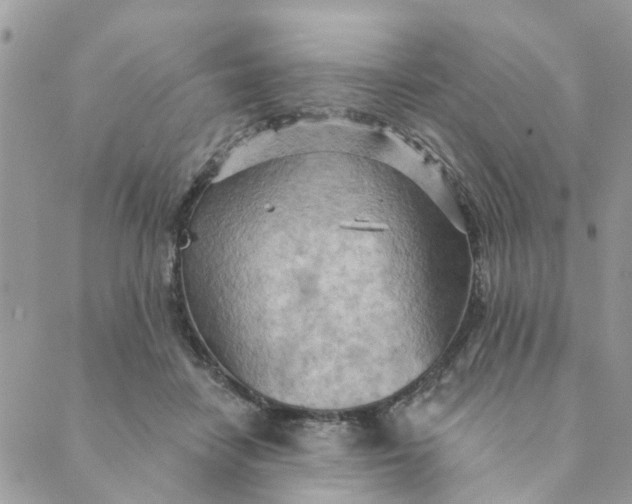 X0000089380458200707061143